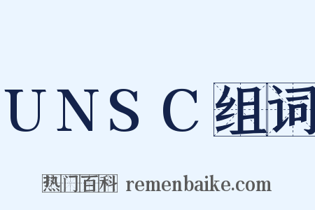 UNSC组词是什么意思的图片